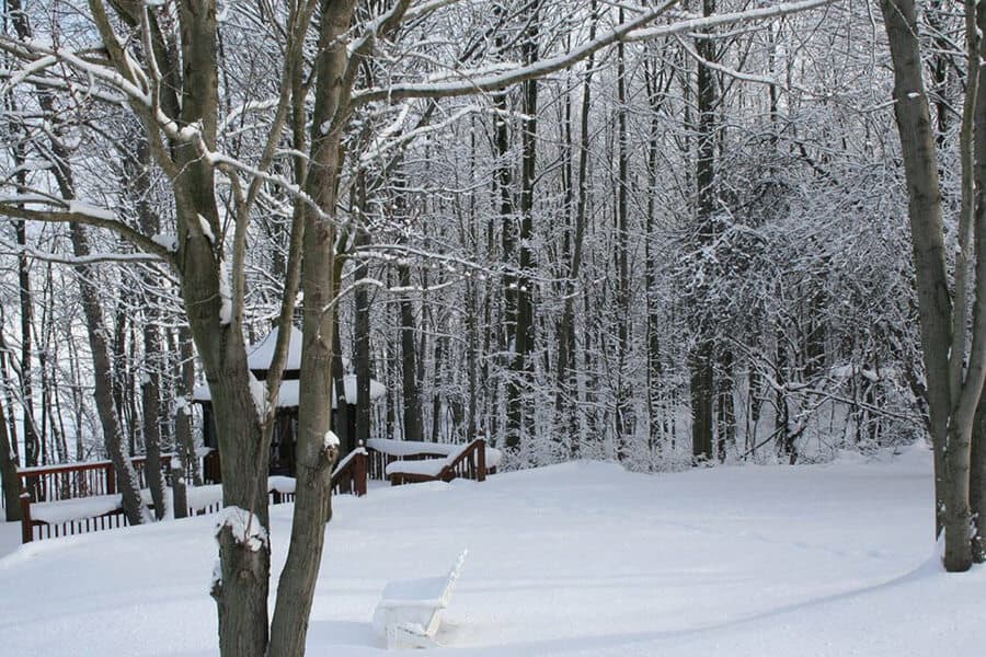 A snowy landscape with bare trees and a bench in a wooded area.