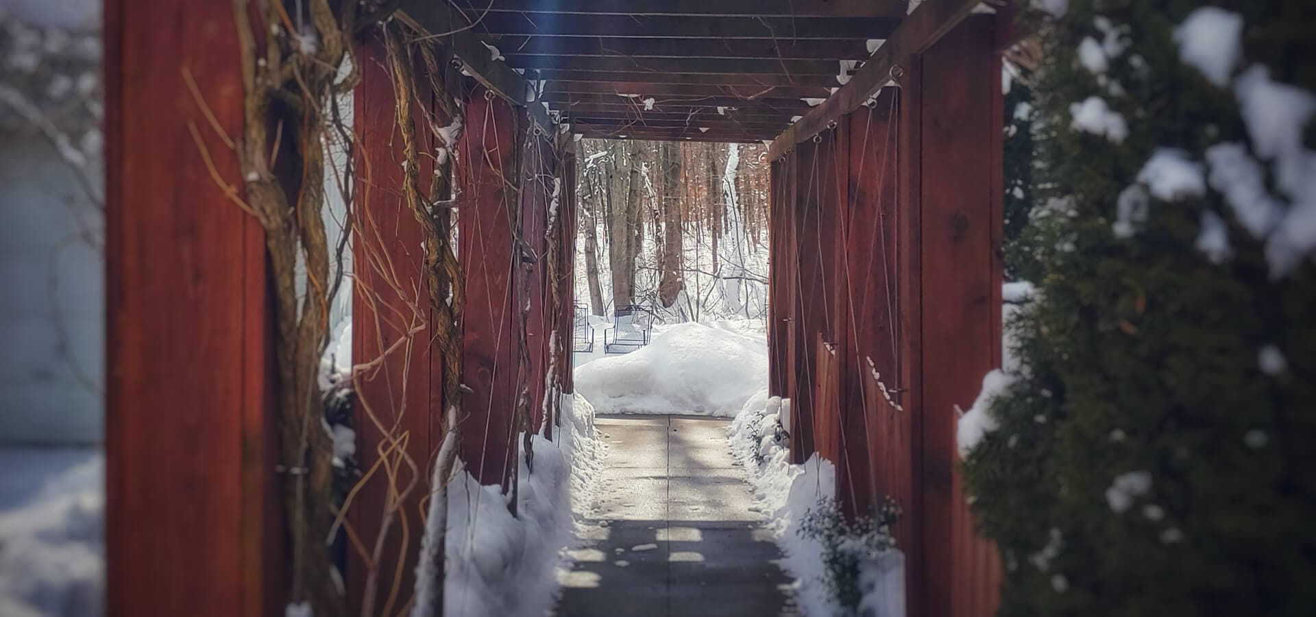 A snow-covered path framed by wooden trellises leads through a winter landscape.