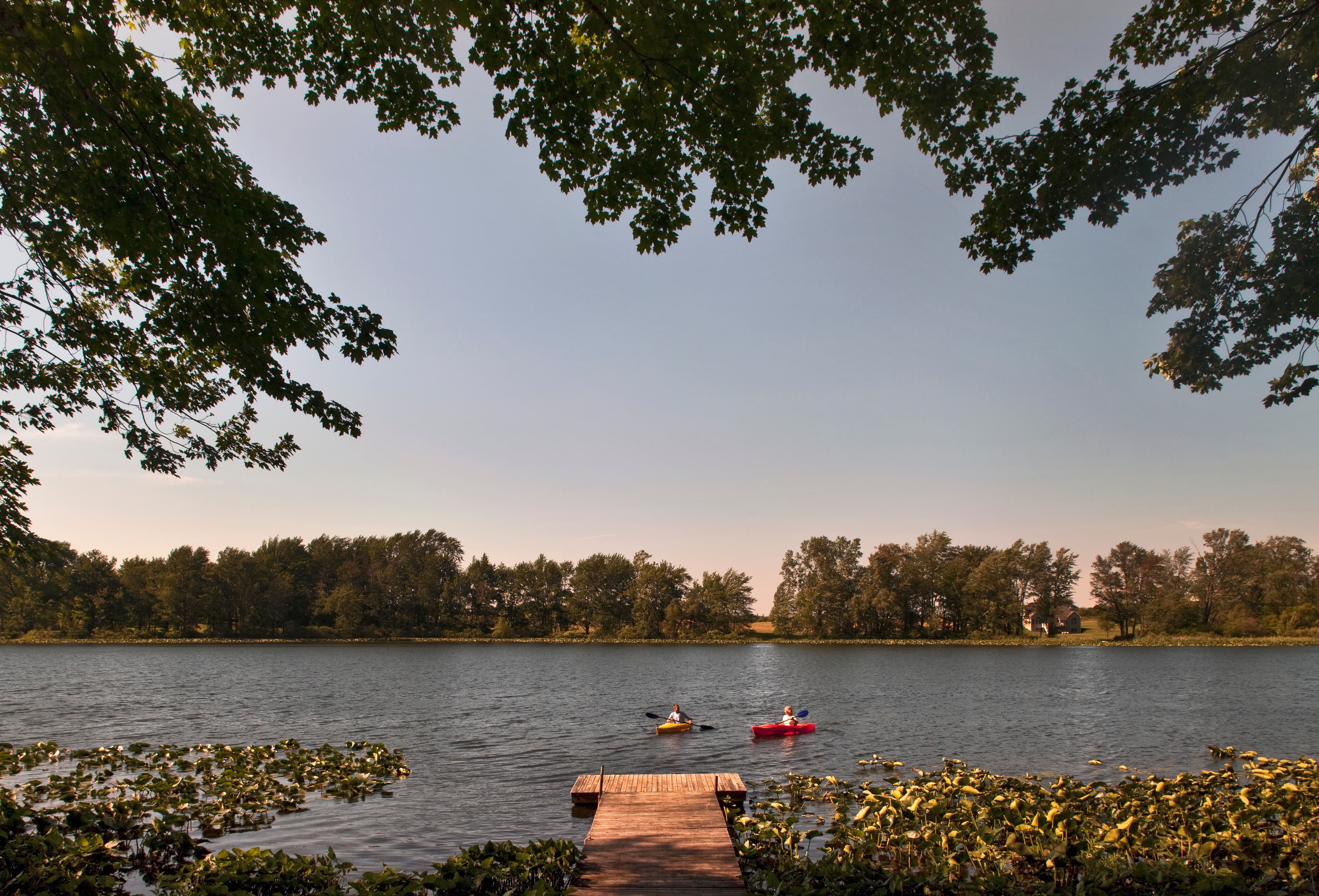 Two kayakers paddle near a wooden dock surrounded by trees and calm water.