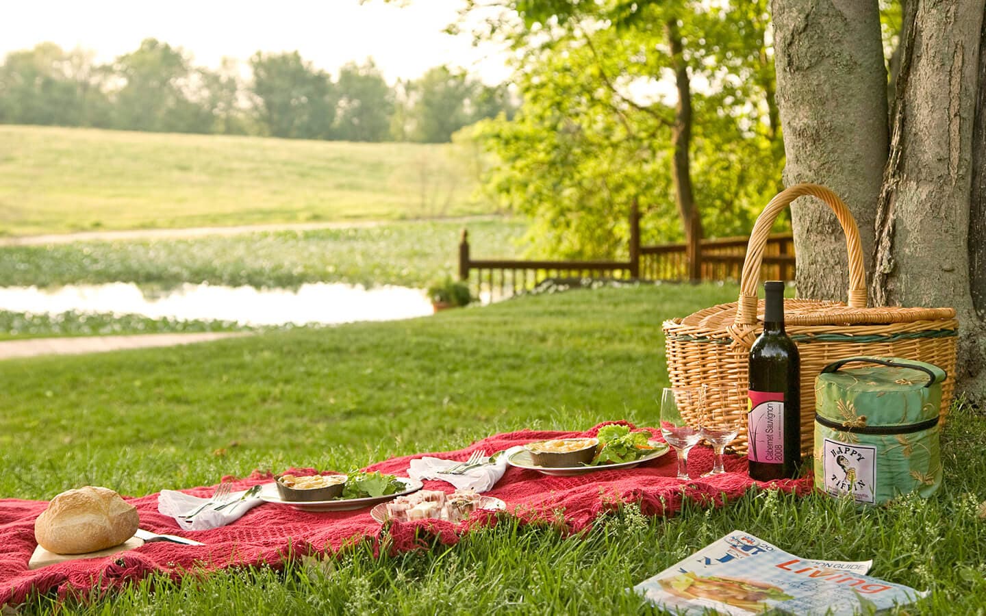A picnic setup with a red blanket, plates of food, a wine bottle, and a basket near a serene pond.