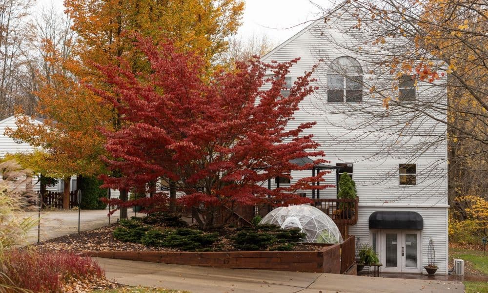 Castle in the Country exterior surrounded by fiery red and gold autumn trees in Allegan Michigan.