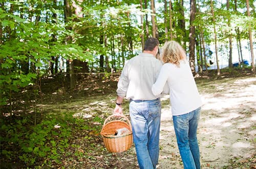 A couple walks together in a forest, carrying a picnic basket.