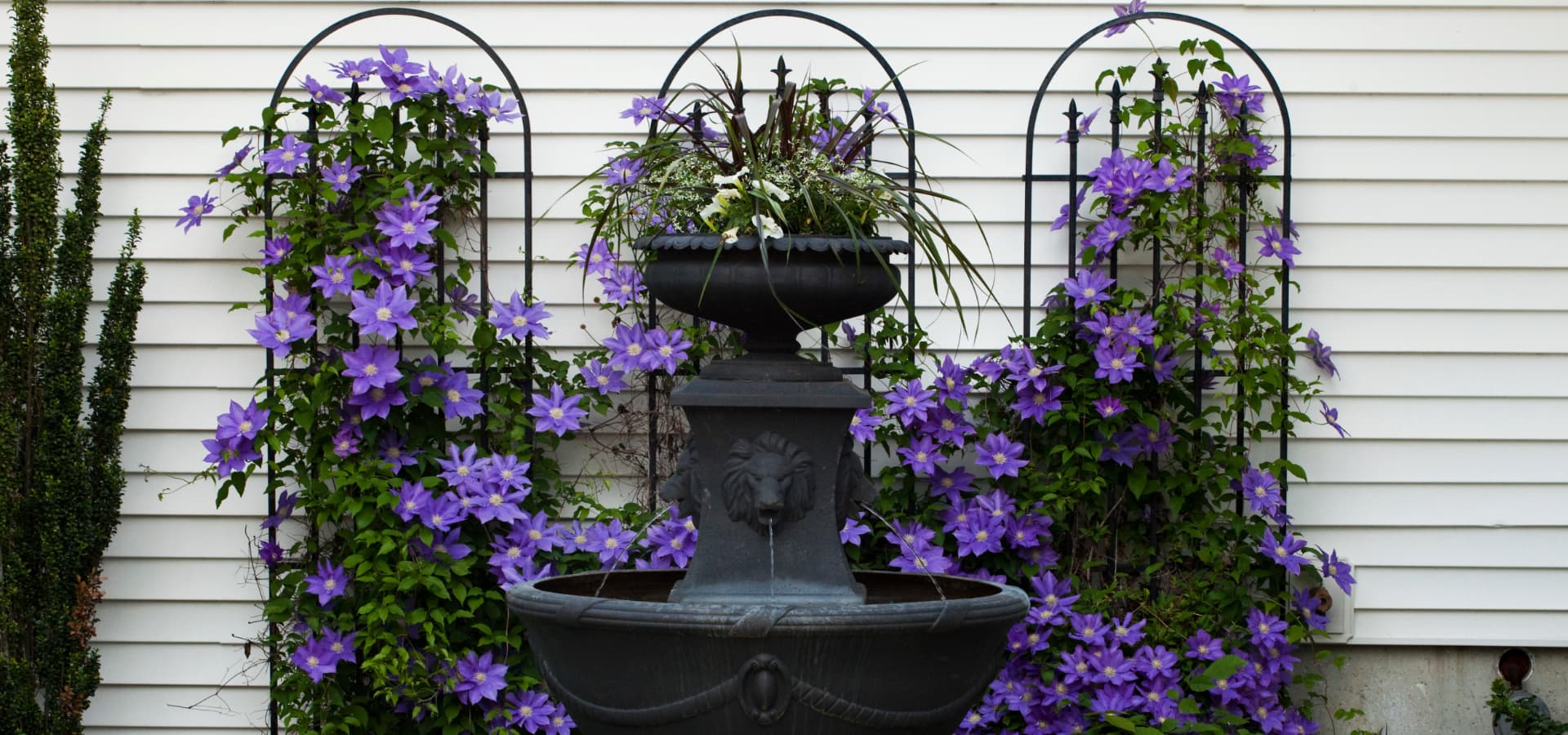A decorative black fountain surrounded by vibrant purple flowers against a white wall.