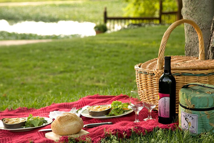 A picnic setup on a red blanket featuring plates of food, a bottle of red wine, and glasses by a serene body of water.