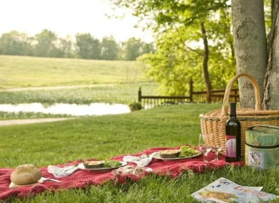 A picnic setup on a grassy area by a serene pond, featuring a red blanket, food, wine, and a picnic basket.