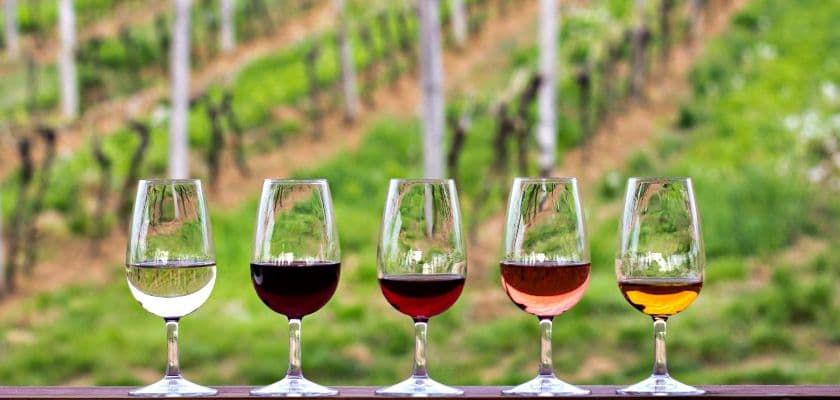 Five glasses of wine in varying shades lined up against a lush vineyard backdrop.
