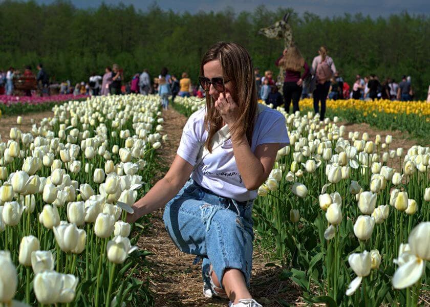 A woman wearing sunglasses crouches among white tulips in a colorful flower field. A woman wearing sunglasses crouches among white tulips in a colorful flower field.
