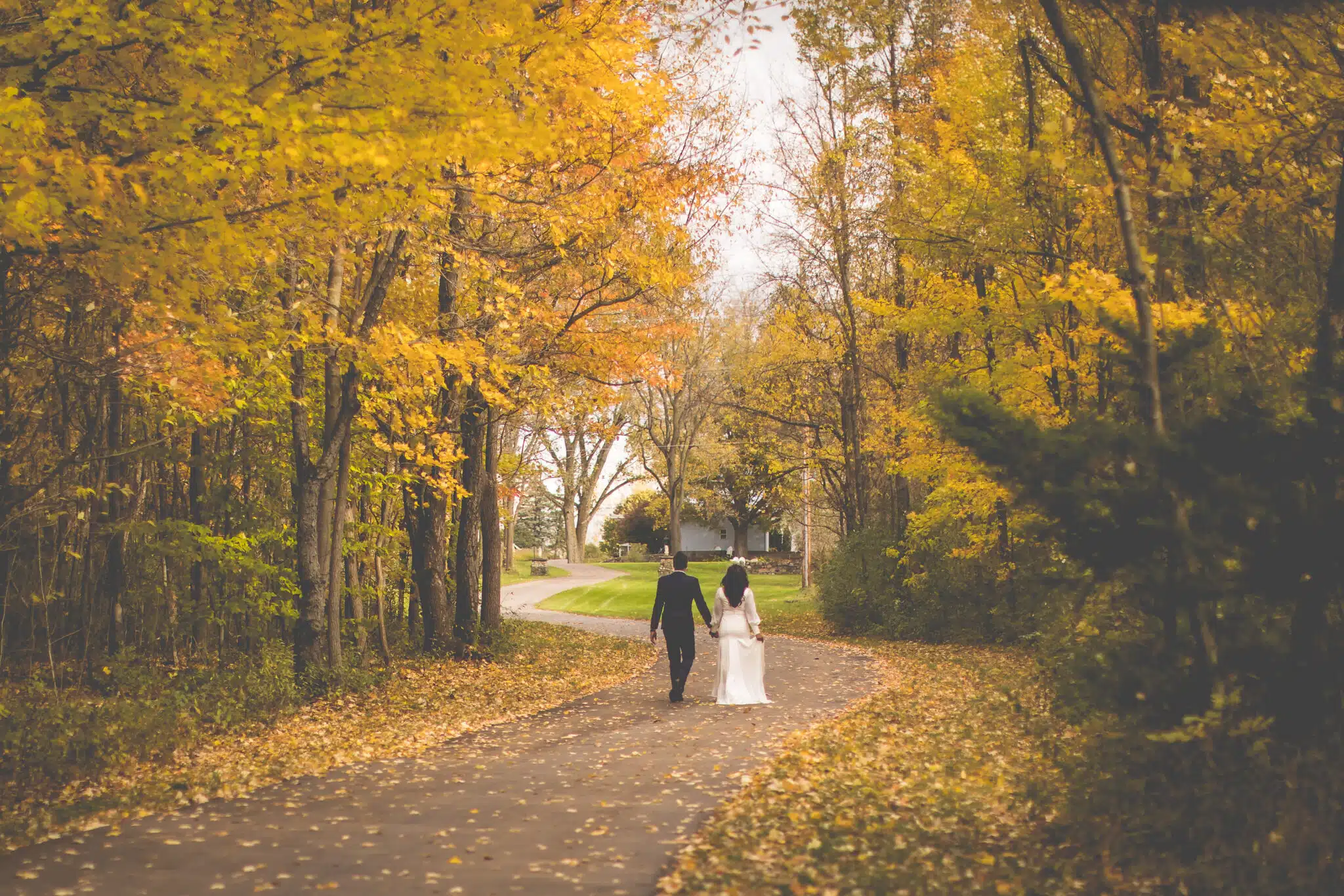 A couple walks hand in hand down a tree-lined path covered in autumn leaves.