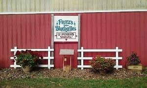A red barn wall displays a sign for "Fritz's Blueberries" with flower pots on either side.