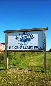 A sign for Brookside Farms promoting "U Pick & Ready Pick" blueberries.