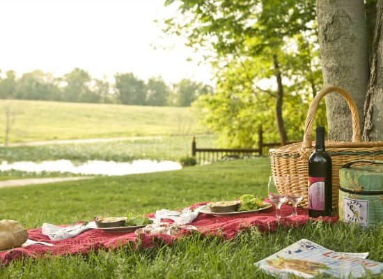 A picnic spread on a grassy area near a tranquil pond, complete with food, wine, and a magazine.