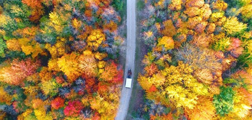 Aerial view of vibrant gold, orange, and red autumn foliage near Castle in the Country.