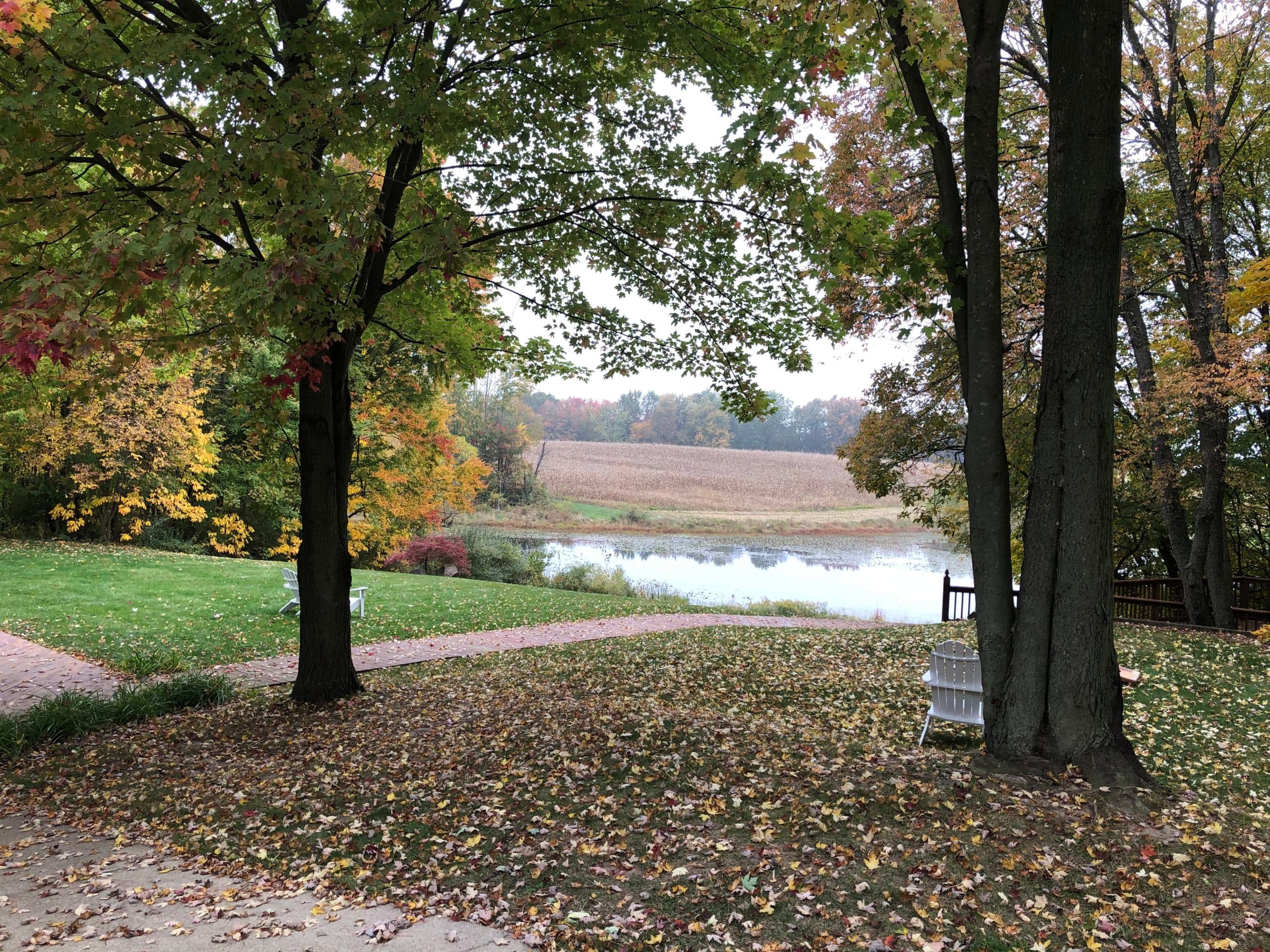 View of the lake surrounded by trees in the fall View of the lake surrounded by trees in the fall