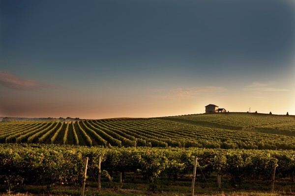 Michigan Winery Tours