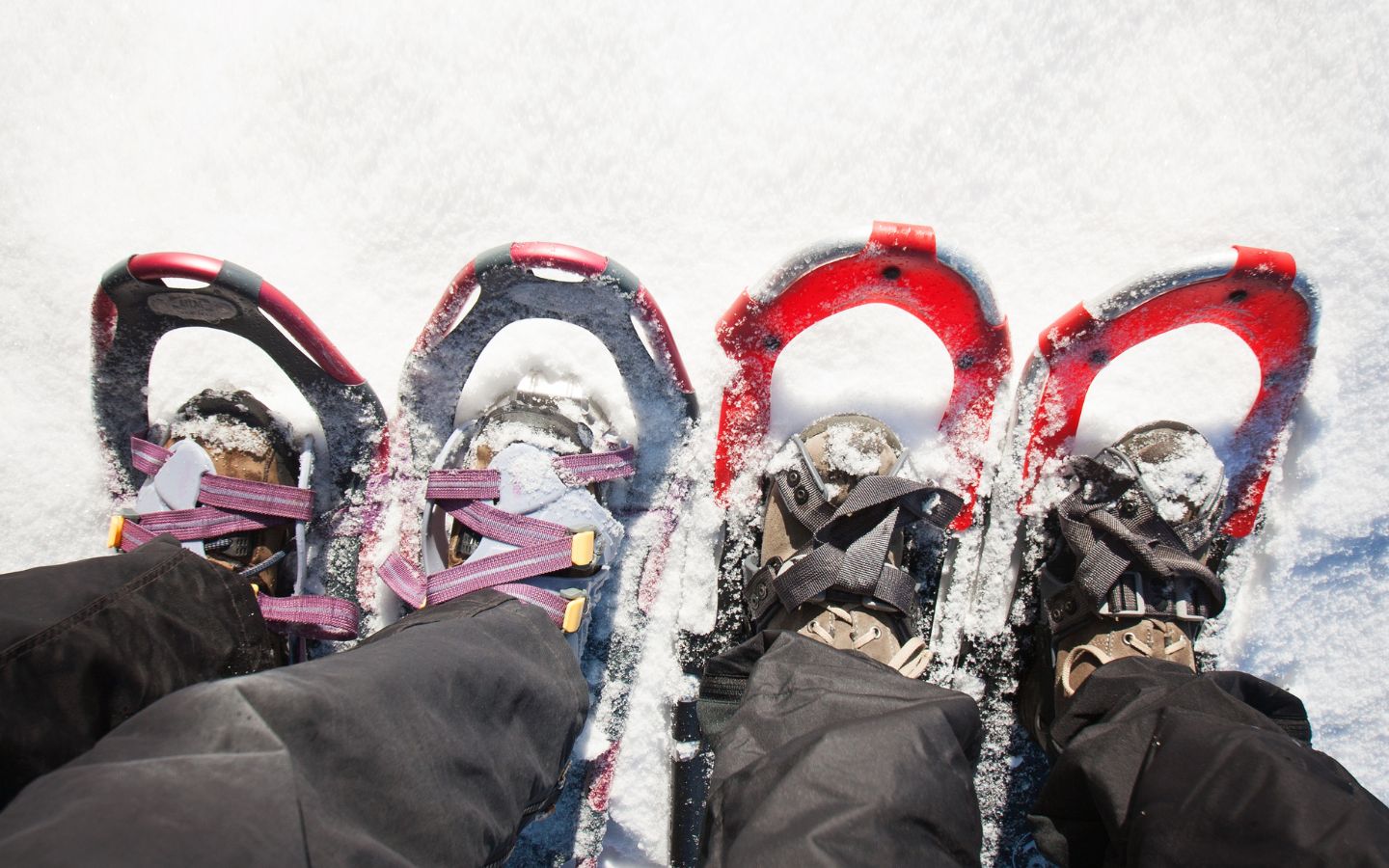 Two pairs of snowshoes, red and blue