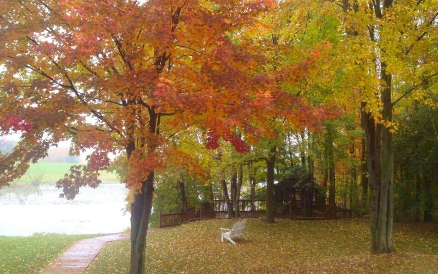 A view of the pond and gazebo surrounded by trees brilliant with fall foliage