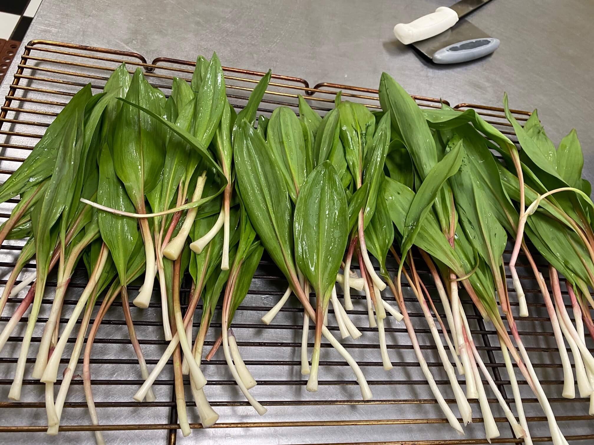 Ramps, or green, wild onions on the kitchen counter ready for cooking