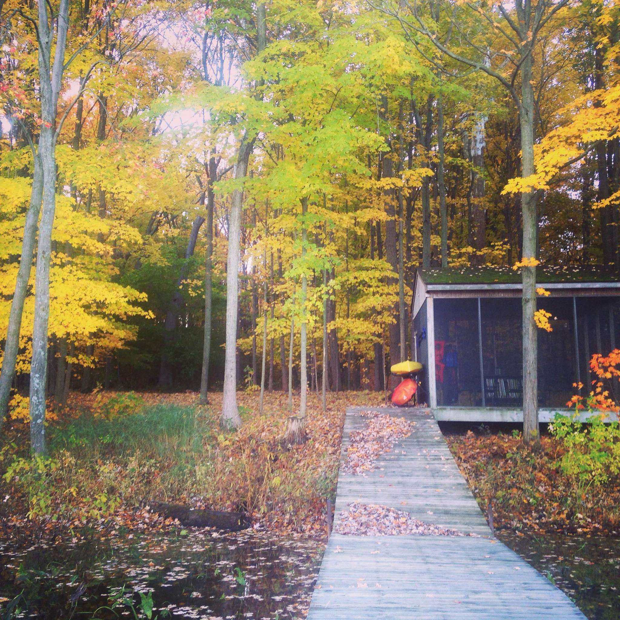 Fall colors surrounding the screen house and dock